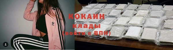 ПСИЛОЦИБИНОВЫЕ ГРИБЫ Балабаново