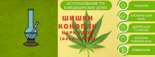 ПСИЛОЦИБИНОВЫЕ ГРИБЫ Балабаново