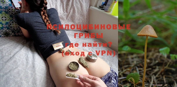 ПСИЛОЦИБИНОВЫЕ ГРИБЫ Балабаново