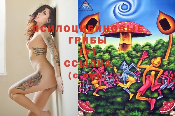 гашик Баксан