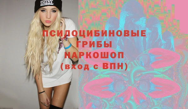 гашик Баксан