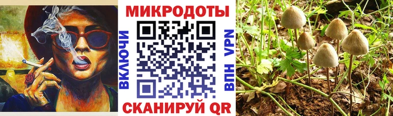 Псилоцибиновые грибы ЛСД  Хилок 